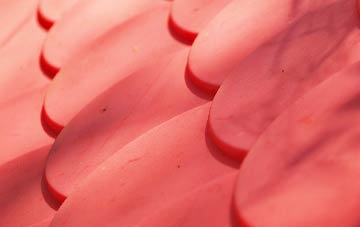 Coombesdale plastic roof costs