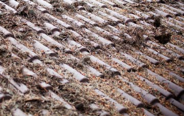 Coombesdale roof cleaning companies