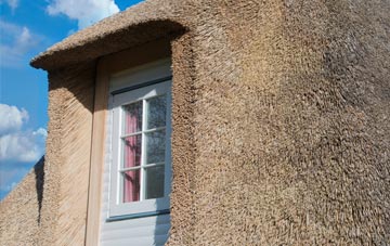 Coombesdale thatch roof disadvantages